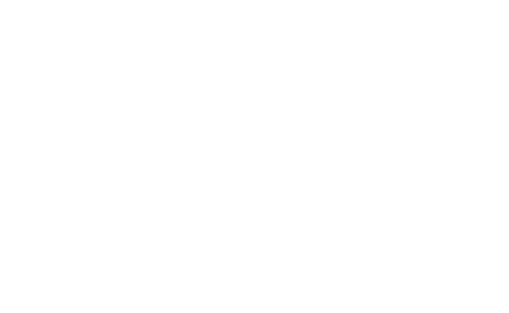 C_SFI_LOGO_SVE_neg_stor